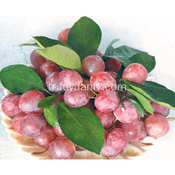 Yunnan kırmızı üzüm ihracatı için hazır